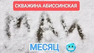 БУРЕНИЕ СКВАЖИНЫ В СНЕЖНОМ МАЕ🥶#абиссинскаяскважина#свояскважина52#гидробурение