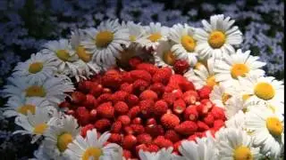 A variety of summer colors   Разнообразны  краски лета