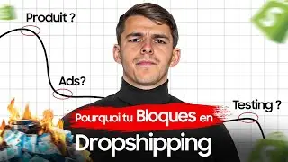 POURQUOI TU BLOQUES EN DROPSHIPPING ?! (LA VÉRITÉ)