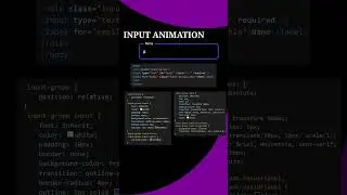Input Animation Using| Html,Css and Js 🔥👨‍💻😎🤏🏻 