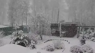 Ах, какая красота!!! А у нас опять зима!!!