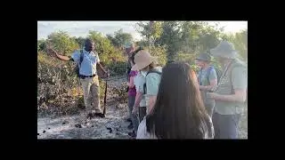 BT Leading Nature walk in African Wilderness