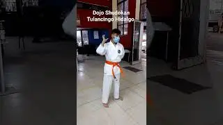 Dojo Shudokan Internacional Tulancingo Hidalgo