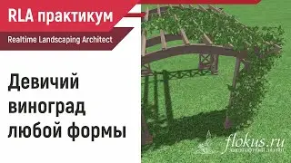 Девичий виноград любой формы в Realtime Landscaping Architect