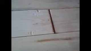 Do-it-yourself wall parquet.