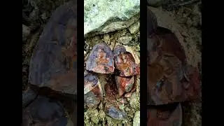 Полудрагоценные камни.