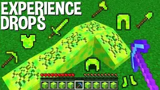 How to MINE EXPERIENCE and GET XP DROPS in Minecraft ? SECRET EXPERIENCE ITEMS !
