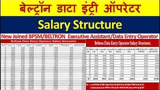 New Joined Beltron Data Entry Operator Salary Structure