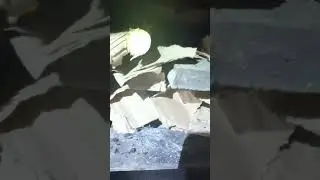 Котёл Магнум 20 кВт каким углём  и дровами топлю.