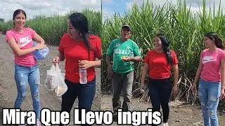 Miren A Ingris Como trata a Kembor esto si es amor|Esto le llevo