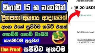 Earn money online sinhala | Free earn usdt sinhala | usdt earning platfrom 2024 | Make money online