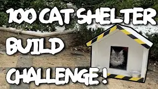100 cat shelters in 48 hours - Can we finish before it snows?
