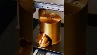 3D printed Hairy Lion