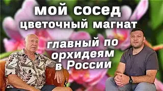 Как увлечение цветами выросло в цветочную империю Как устроен бизнес орхидей