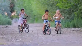 Nature of Khodjeli. Karakalpakstan