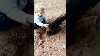 Ajudando o amiguinho!!!