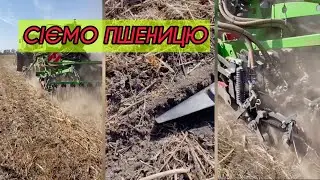 Сіємо пшеницю після ріпаку! Чекаємо на дощ 🙏🏻монодискова сівалка MULTISEM