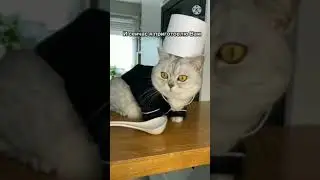Знакомьтесь- директор КИФИФИ New Tik Tok. Приколы Тик Ток лыба