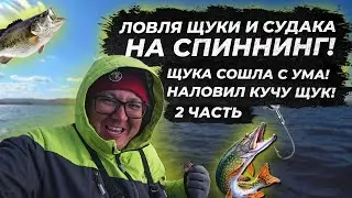 Бешенный клев щуки на спиннинг. Рыбалка 2021. судак на джиг 2021. fishing. ЧАСТЬ 2