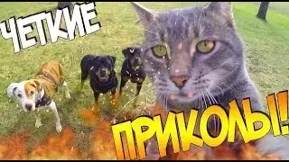 Мой тест на психику (ухуууу)