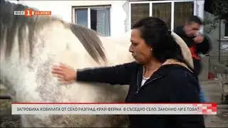 Законно ли загробиха кобилата от село Разград край ферма в съседно село?