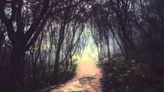 Rain (Apparat ft. Soap And Skin - Goodbye)