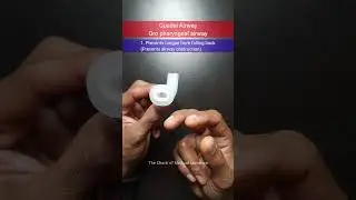 Gudel's airway #neetpg #inicet #anesthesiology