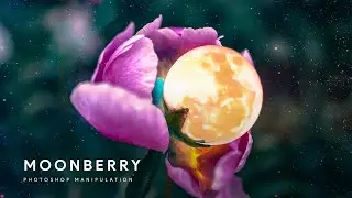 Moonberry - Photoshop Manipulation Process