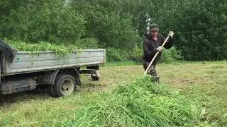 Маленький помощник в деле!