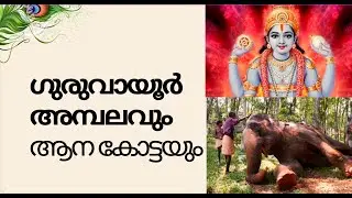 ഗുരുവായൂർ അമ്പലവും പുന്നത്തൂർ ആന കോട്ടയും || Guruvayur Temple and punnathur kotta(Anakotta)