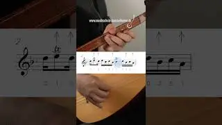 👆🏼Tamamı için üstteki linke tıkla | Halil ibrahim | Notalı Bağlama Çalışma Videosu | Solfej