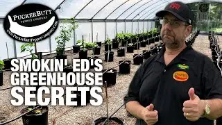 Carolina Reaper Grow Camp | How Ed Currie Sets Up His Greenhouse