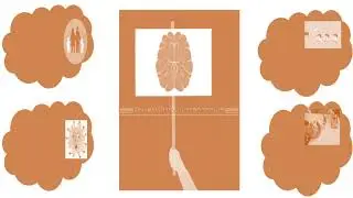 EPILEPSY AND IT'S TYPES