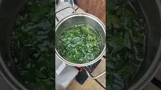 каприва и яйца.дълголетие и тестостерон. Building a new greenhouse and cooking Nettle with Eggs