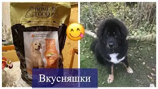 Новый вкусный корм для домашних любимцев.