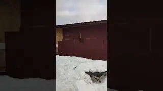 WhatsApp Video 2024 03 25 at 22 12 51