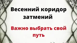 Весенний коридор затмений. Важно выбрать свой путь.