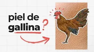 ¿Por qué se nos pone la piel de gallina?