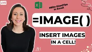 How amazing the IMAGE Function Is, When You Want To Insert Images In A Cell - #DailyExcelTips
