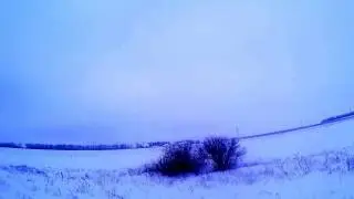 охота на зайца 2