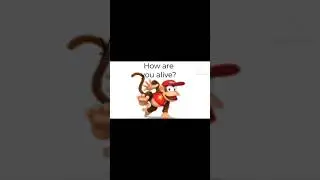 Stop Putting a Bow on my tail! Meme (Donkey Kong Country) #meme #donkeykongcountry