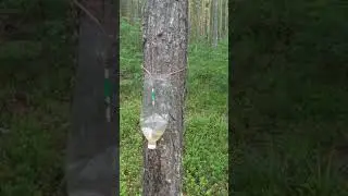 Как мы в поход ходили.. 