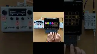 Live looping experimental beats with OP-Z, Loopy Pro, & H90 Harmonizer
