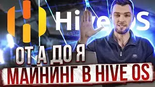 Майнинг в Hive OS от А до Я