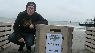ZEEHONDEN VRIJLATING - Dagje in Pieterburen