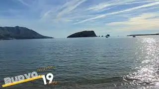 19 ноября 2023 г.