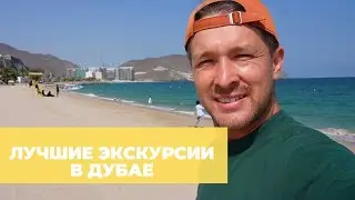 The best excursions in Dubai - prices, our review, what we tried