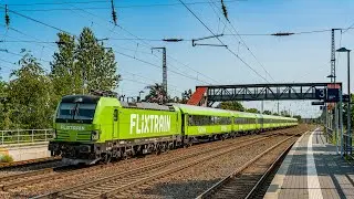 Sichtungen aus Saarmund vom 12.09.2020