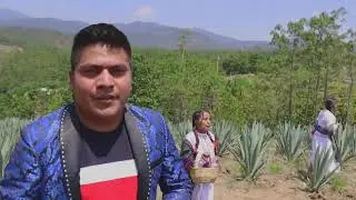 La Risueña | Juniors De Tierra Mixteca | Video Oficial 2024