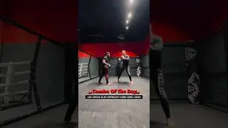 COMBO OF THE DAY - JAB/CROSS/SLIP/UPPERCUT/HOOK/ROLL/HOOK